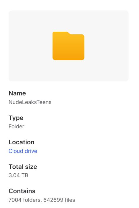 NudeLeaksTeens Collection – 3.04 TB